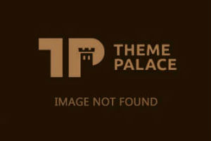 Prof. Dr.  Nehad Gad