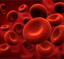 Hematologic parameters in pregnancy